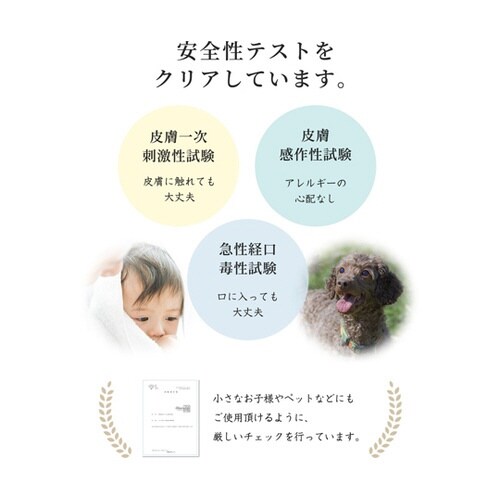 消臭・除菌スプレー −清− 250ml