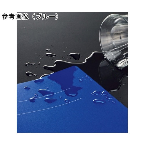 PPフラットファイルF−51M オレンジ