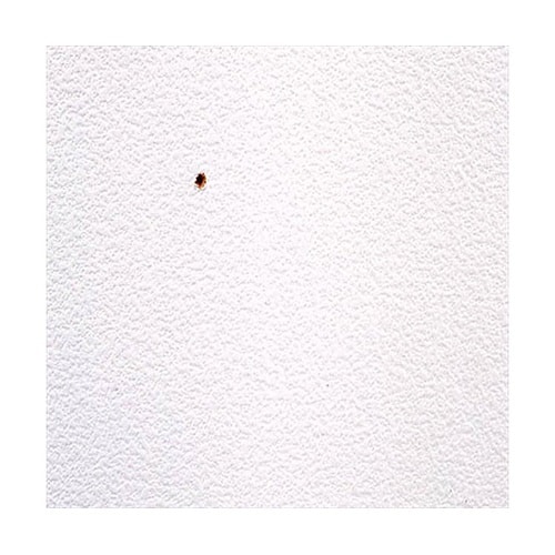 クロスの穴うめ材スーパー ライトグレー