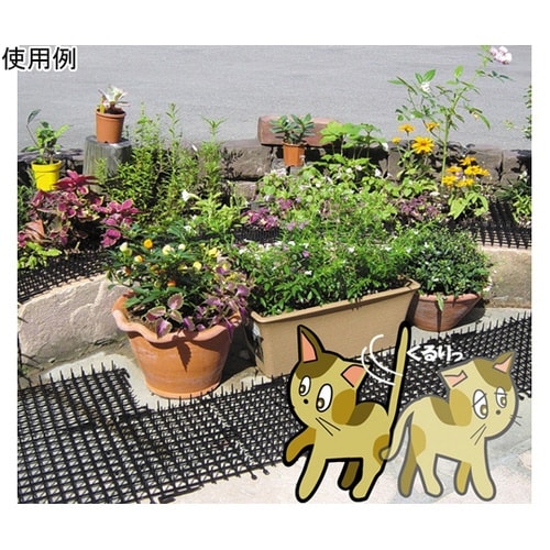 ここダメシート 10枚入