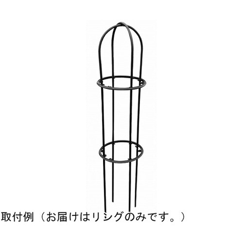 ローズスタイル用リングRR300
