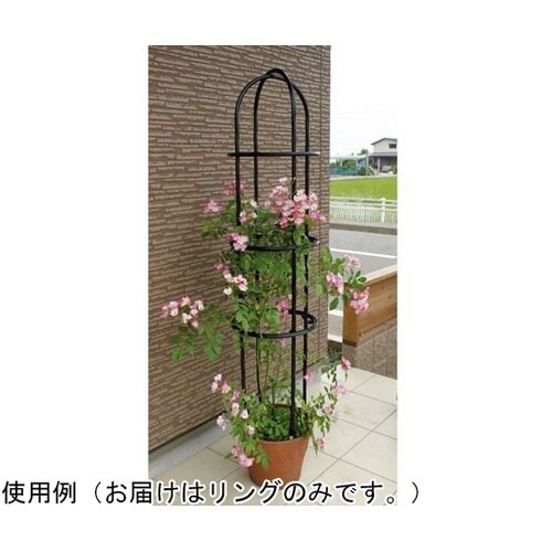 ローズスタイル用リングRR300