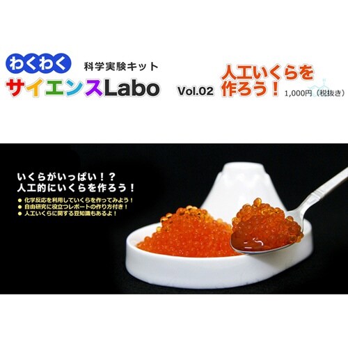 わくわくサイエンスLabo 人工いくらを