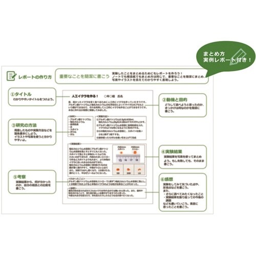 わくわくサイエンスLabo 人工いくらを