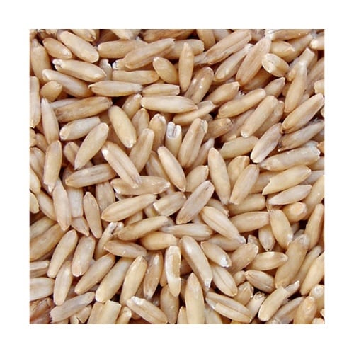 1067 エクセルオーツ麦皮むき280g