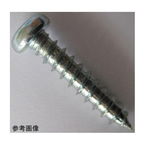 2F202 ユニクロ鉄板木ネジ 10個入