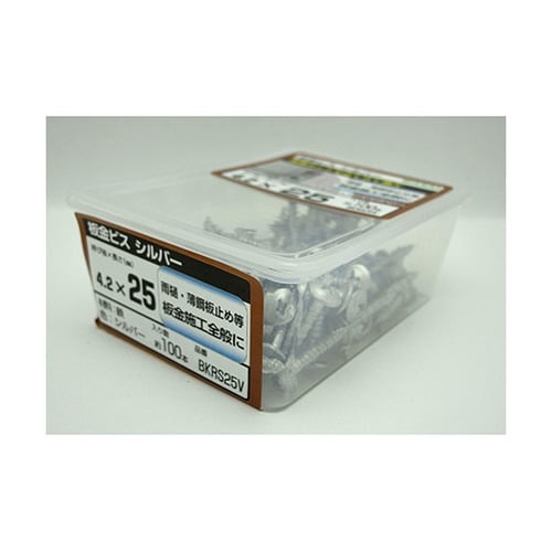 BKRS25V 板金ビスシルバー100個