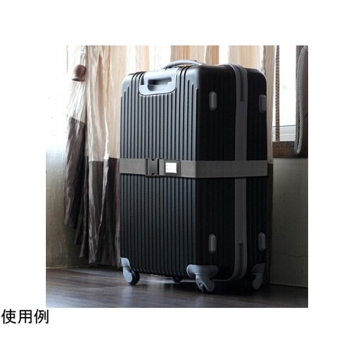 TVR56GY スーツケースベルトグレイ