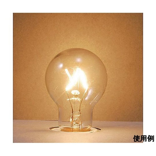 AC110V/22W/E17 電球/ミニ