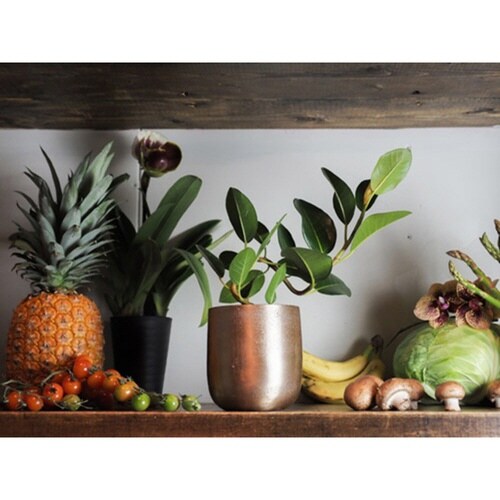 植木鉢 AM3.5ベース アルミ ゴールド