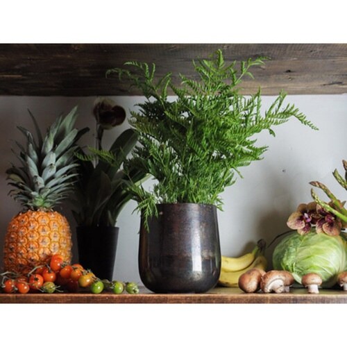 植木鉢 AM4ベース アルミ ブラック