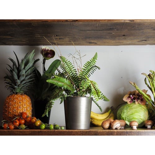 プランター MC円錐ポット ブラック