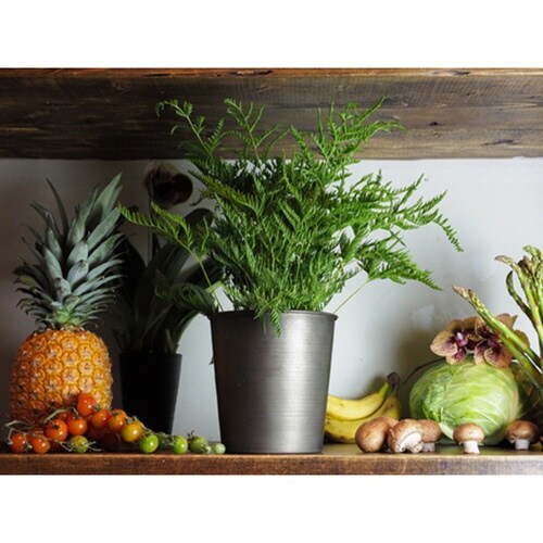 プランター MC円錐ポット ブラック