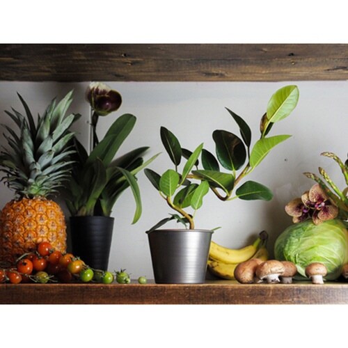 プランター MC円錐ポット ブラック