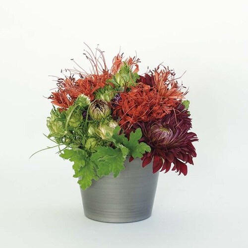 プランター MC円錐ポット ブラック