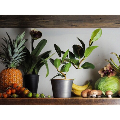 プランター MC円錐ポット グレーゴールド