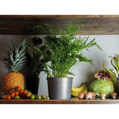 プランター MC円錐ポット グレーゴールド