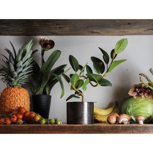 植木鉢 AMシリンダーポット 3号 ブラック