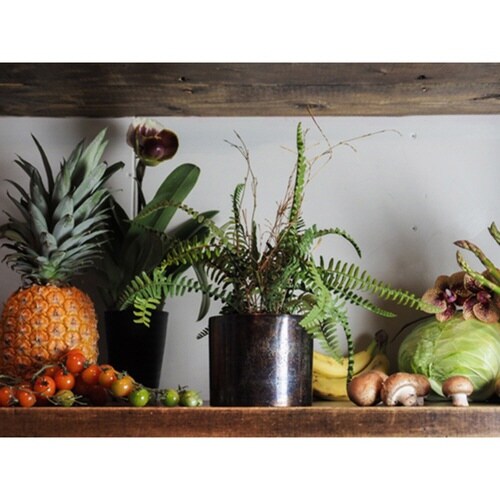 植木鉢 AMシリンダーポット 3.5号 ブラック