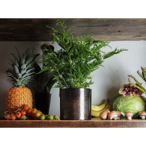 植木鉢 AMシリンダーポット 4号 ブラック