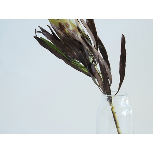 花瓶 DGボトルベース