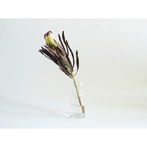 花瓶 DGボトルベース 直径7.5×高さ18cm