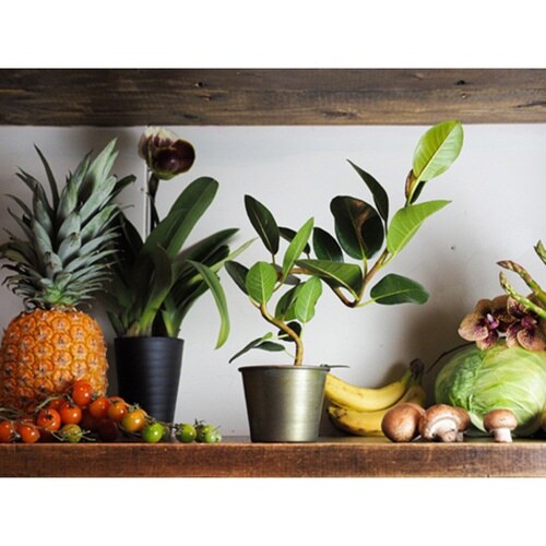 プランター MC円錐ポット グリーンゴールド