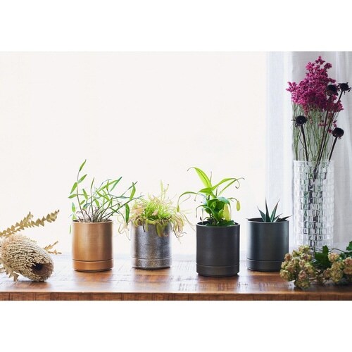 植木鉢 シルバーブラック