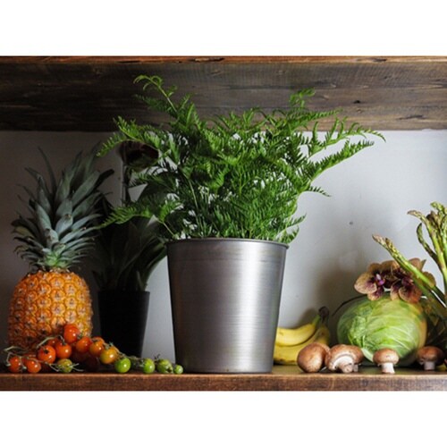 プランター MC円錐ポット ダークブラック