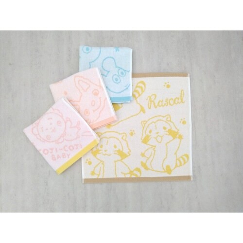 ハンドタオル 絵本 キャラクター 無撚糸 ラスカル