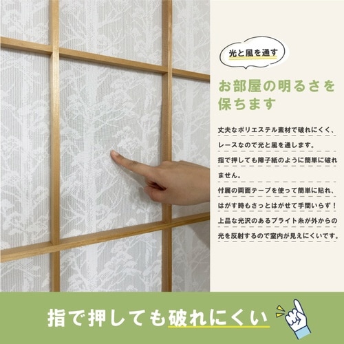 障子紙 障子に貼るレース 森林