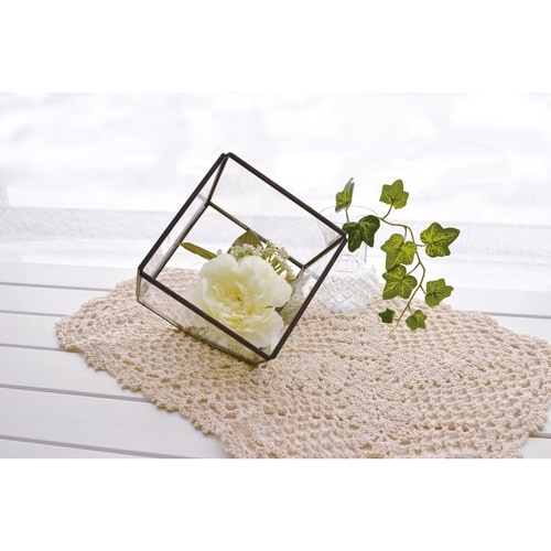 テラリウム スクエア S ガラス