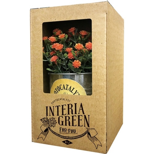 フェイクグリーン TIN缶グリーン デイジー