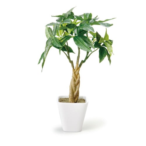 人工観葉植物 パキラ 27cm 観葉植物 造花