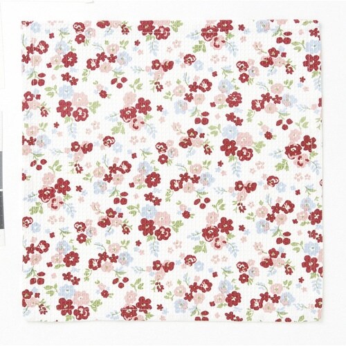 キッチンクロス 2枚入 綿100% 正方形 レッド