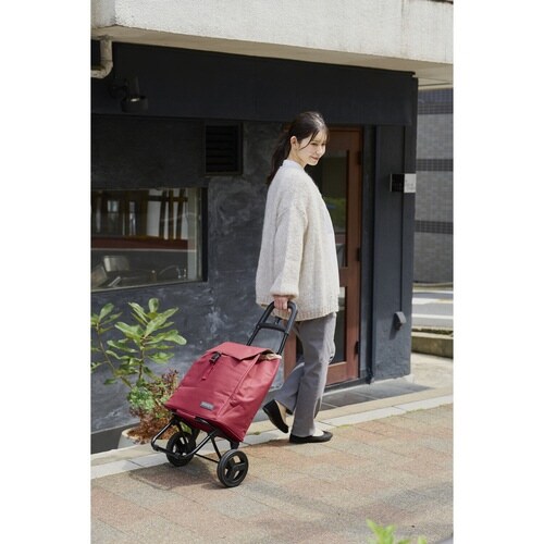 ショッピングカート cocoro ココロ ボルドー