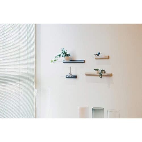 スリムシェルフ アクリル板 飾り棚 ナチュラル