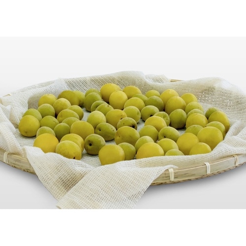 蒸し布 綿100% 2から3升用 68×68cm