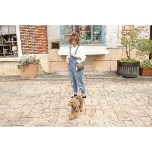 ロールペーパー収納ポーチ ペット お散歩 ブラウン