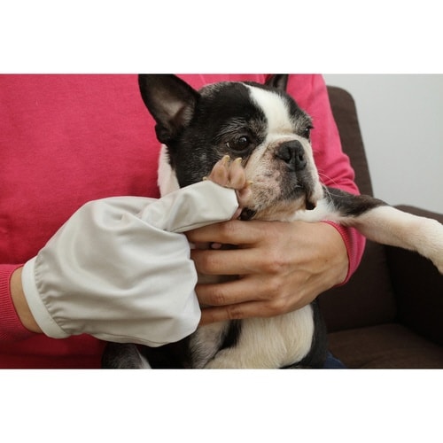 お顔すっきりグローブ 2枚組 ペット用 お手入れ