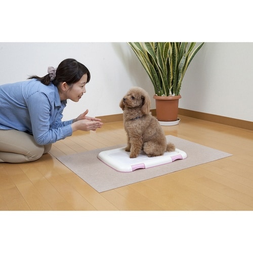 ペットマット ペット用トイレ下敷きマット 犬 猫
