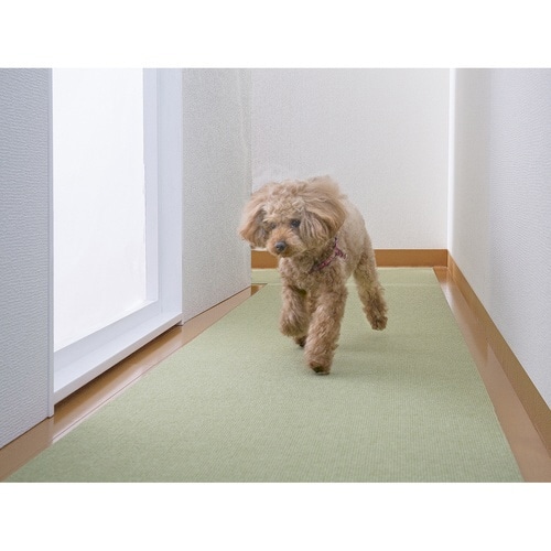 ペットマット ペット用 床保護マット グリーン