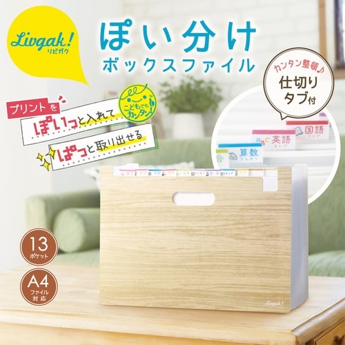 収納 リビガク ポイ分けBOXファイル