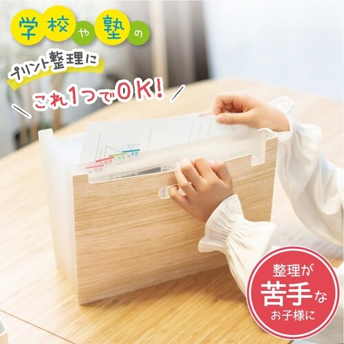 収納 リビガク ポイ分けBOXファイル