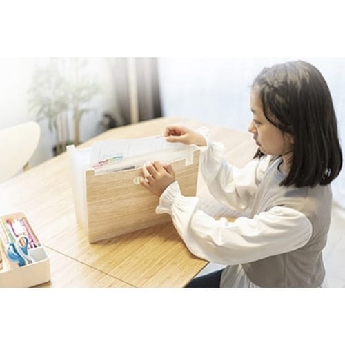 収納 リビガク ポイ分けBOXファイル