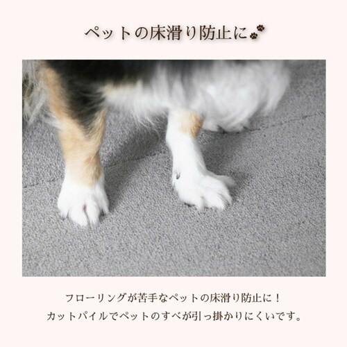 カーペット SELECT JUST FIT グレー