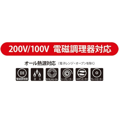 フライパン 24cm IH対応 IHレオン