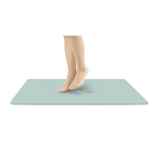 珪藻土バスマット パステルリーフ