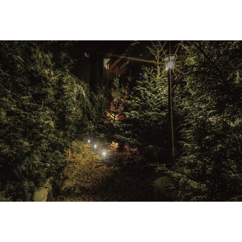 ソーラーガーデンライト ホワイト&レインボー