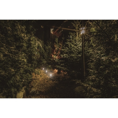 ソーラーガーデンライト ホワイト&レインボー